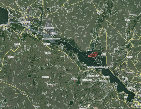 Кременчугские милиционеры задержали охотника на кабана