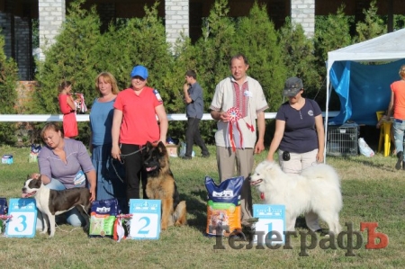 Под Кременчугом прошла всеукраинская выставка собак