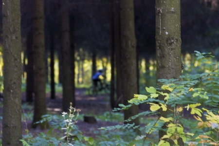 В лесу под Комсомольском заблудились два велосипедиста (дополнено)