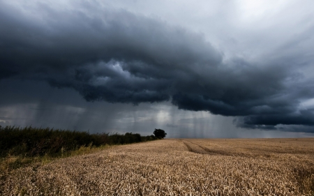 Погода может навредить урожаю - аграрии Полтавщины