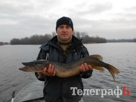 Конкурс "Вот это улов": последний день голосования!