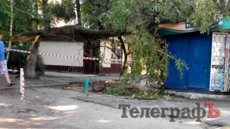 В Кременчуге дерево упало на киоск
