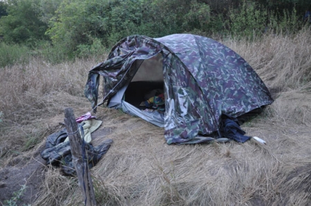 На Полтавщине обнаружили плантацию конопли под сигнализацией