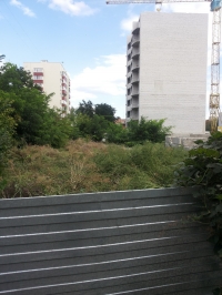 Из-за забора амброзии уже не видно. Можно предположить, что ее нет. Но она есть!