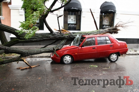 В центре города упавшая акация придавила "Славуту"