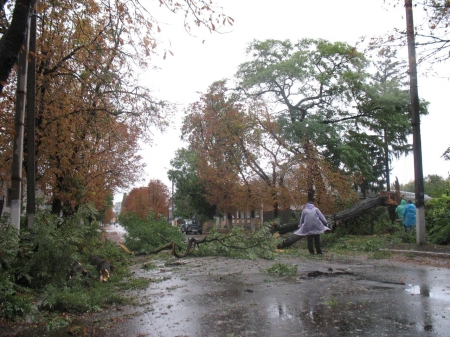 Непогода в Кременчуге 24 сентября - как минимум три машины привалило деревьями