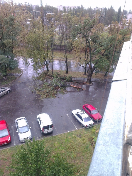 Непогода в Кременчуге 24 сентября - как минимум три машины привалило деревьями