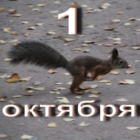 С 1-го октября ... С 1-го октября ...