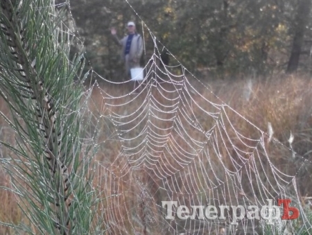 Самый точный прогнозЪ: на выходных сухо, с понедельника – холодает Самый точный прогнозЪ: на выходных сухо, с понедельника – холодает