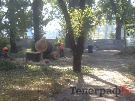 В Городском саду коммунальники второй день борются с аварийным тополем