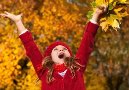 Осенние каникулы в школах Кременчуга начнутся 27 октября