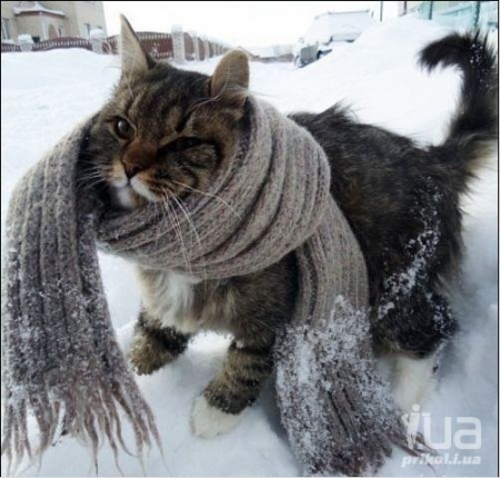 24 октября в Кременчуге возможен мокрый снег