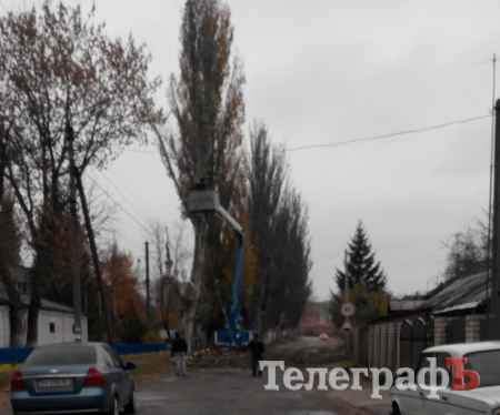 В Кременчуге возле седьмой школы ветер наклонил тополь