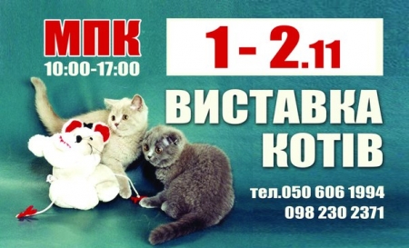 1 и 2 ноября в Кременчуге состоится Выставка элитных пород кошек
