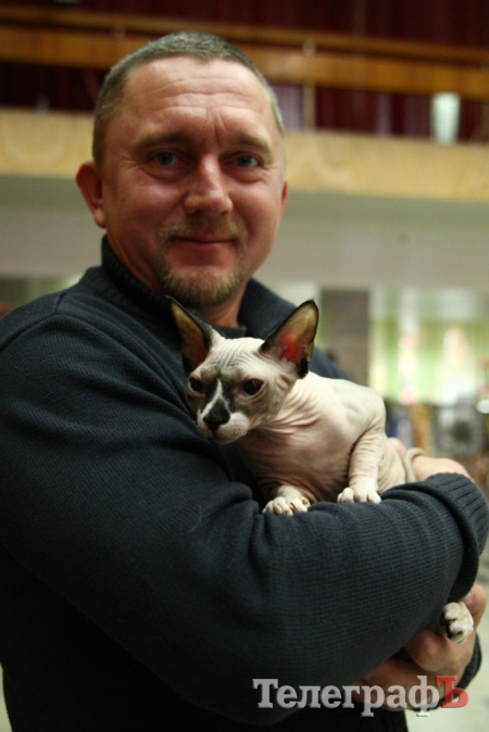 Пушистые и когтистые: выставка элитных кошек в Кременчуге