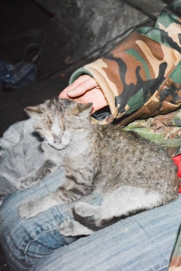 Кіборги просили у кременчужан хліба і води - волонтери привезли і потрапили під обстріл