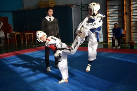 Кременчужане выиграли 17 медалей на турнире по тхэквондо в Полтаве