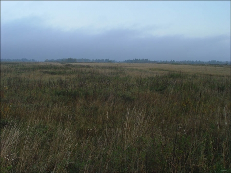 Кременчугские депутаты не приняли решение о выделении земли на Деевке воинам АТО