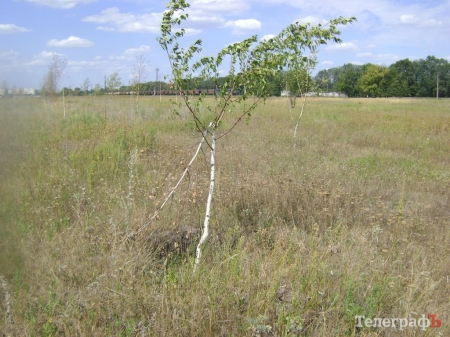 Депутаты готовы отдать свой парк в Кременчуге под участки для воинов АТО