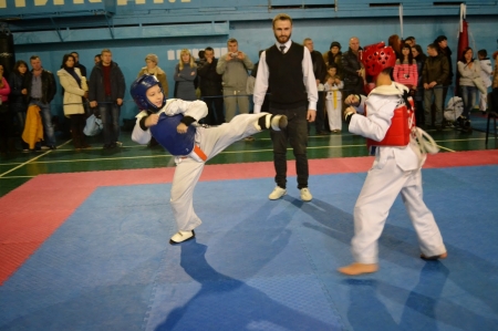 В Кременчуге прошел Кубок Полтавской области по тхэквондо ИТФ В Кременчуге прошел Кубок Полтавской области по тхэквондо ИТФ