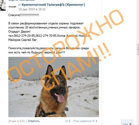 Кременчужане спасают "мифических" овчарок