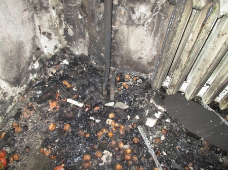 Вот что наделали бомжи в выходные