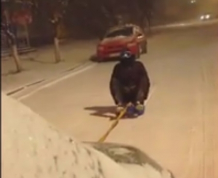 Экстрим по-кременчугски: "Умчи меня, олень, в свою страну оленью"