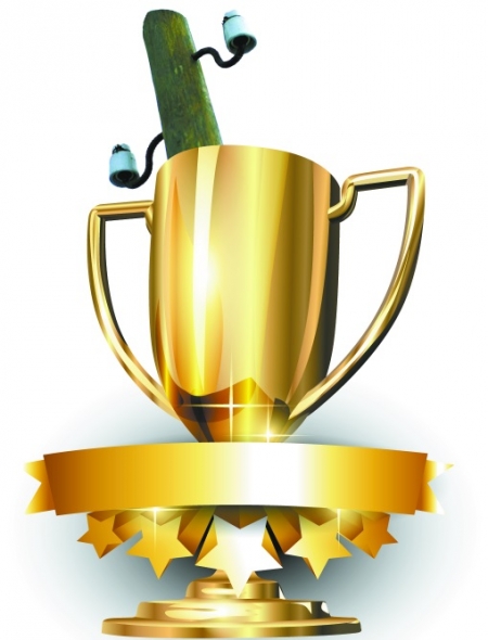 Вшановані  на стовпі-2014