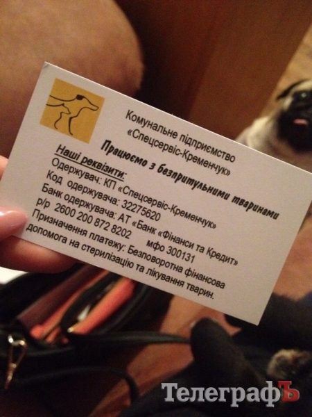 БЛОГ: Итоги нашего рождественского похода в приют к собачкам