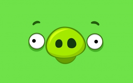 По-свински: кременчужанин в пылу ссоры ударил беременную соседку