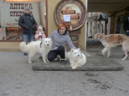 Кременчужанка Алиса Бажукова – трехкратная чемпионка Украины по тайскому боксу