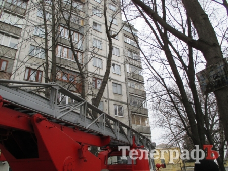 В Кременчуге на День Святого Валентина пожарные снимали котика