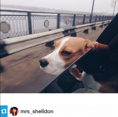 "Приметы времени" — что выкладывают кременчужане в социальные сети - 5 выпуск