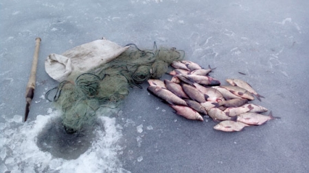 В Кременчуге задержан любитель незаконной рыбалки