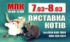 7-8 марта. Выставка кошек в Кременчуге