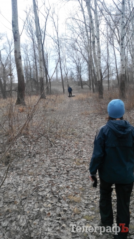 Кременчугские репортёры защищают лес от вырубки