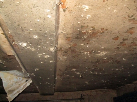 В Полтаве взорвалась граната - двух мужчин в тяжелом состоянии доставили в больницу