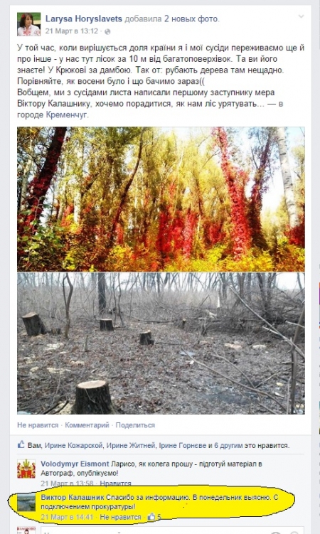 В Крюкове продолжается неконтролированная вырубка деревьев