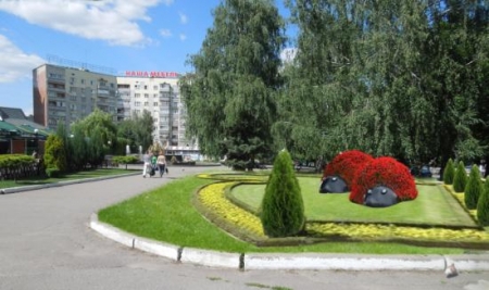 Біля кременчуцького McDonalds’а обіцяють посадити божих корівок