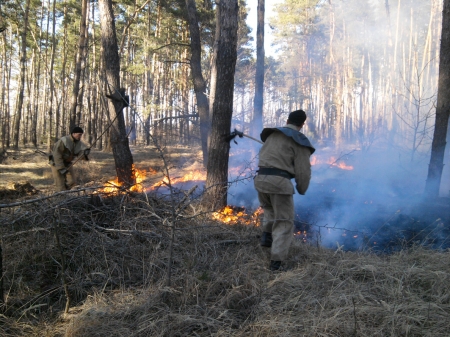 На Полтавщине от огня спасли 250 гектаров леса
