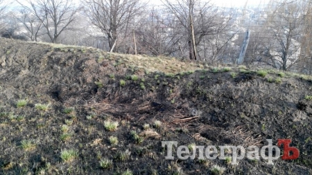 Кременчугский лесхоз потушил пожар на Деевской горе