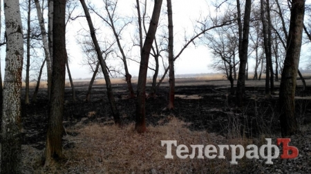 В Кременчуге горели плавни