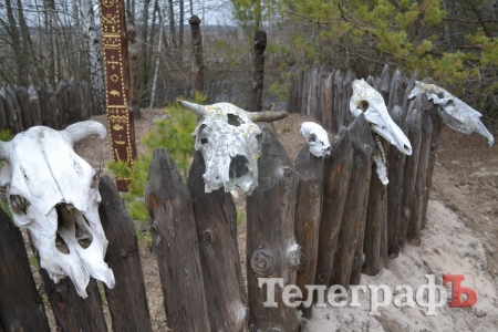 Тайга рядом с нами Тайга рядом с нами