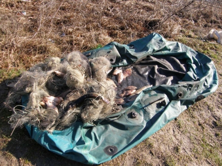 В Кременчуге поймали первых «нерестящихся» браконьеров