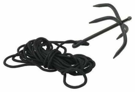 В Кременчуге с браконьерами будут бороться КОШКИ 