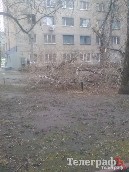 В Кременчуге шалит погода...