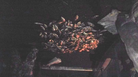 Кременчужанин наловил сеткой рыбы на 15 тысяч гривен