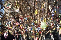 В Кременчуге на площади Независимости появилось Пасхальное дерево
