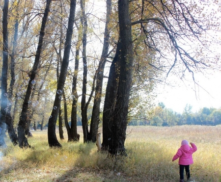 Сегодня крюковчане собираются сделать лес чистым