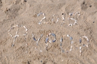 Кременчужане взяли Гран-при в Одессе